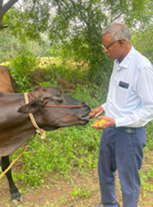 K Selvakumar, Lovely Offset, Sivakasi